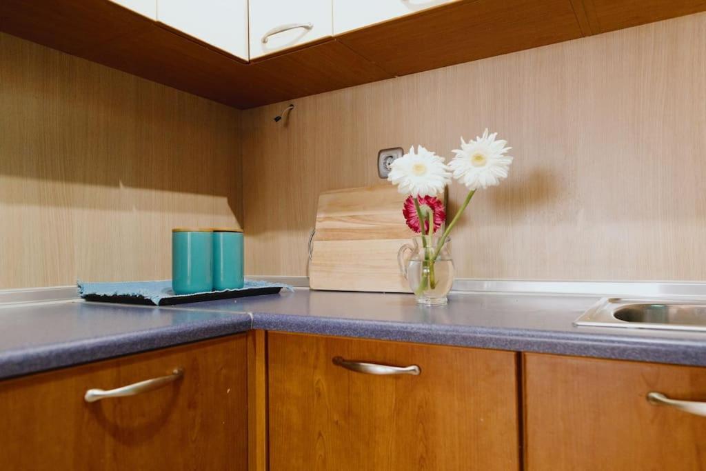 Cosy & Spacious Central Apartment Κομοτηνή Εξωτερικό φωτογραφία